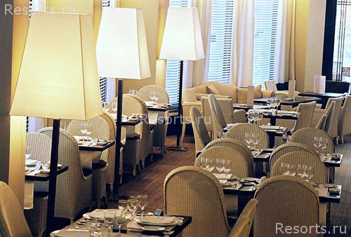 Tonic Hotel 16